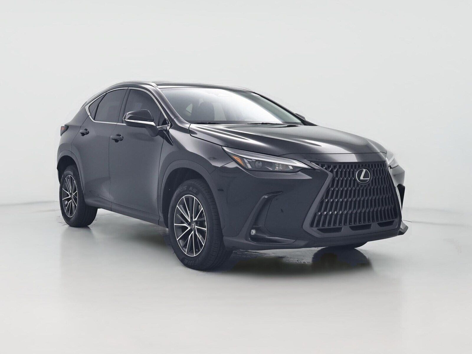 2024 LEXUS NX