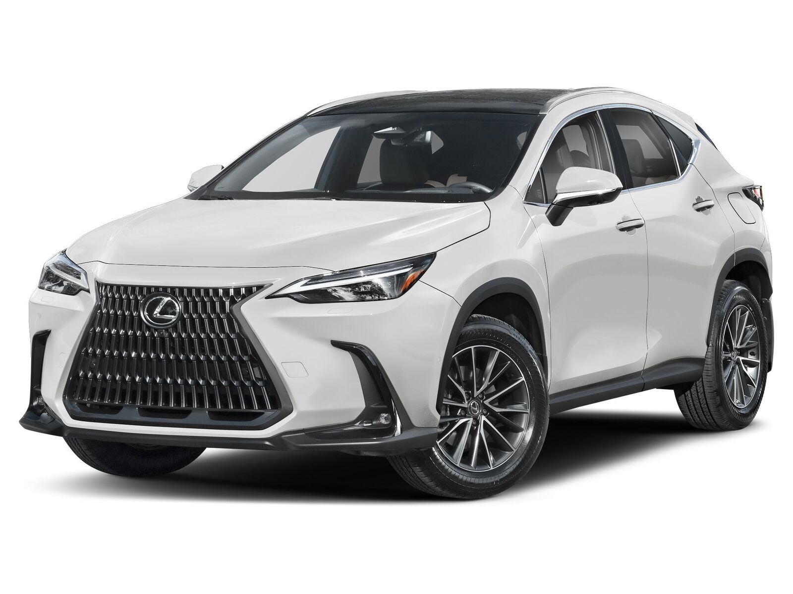 2025 LEXUS NX