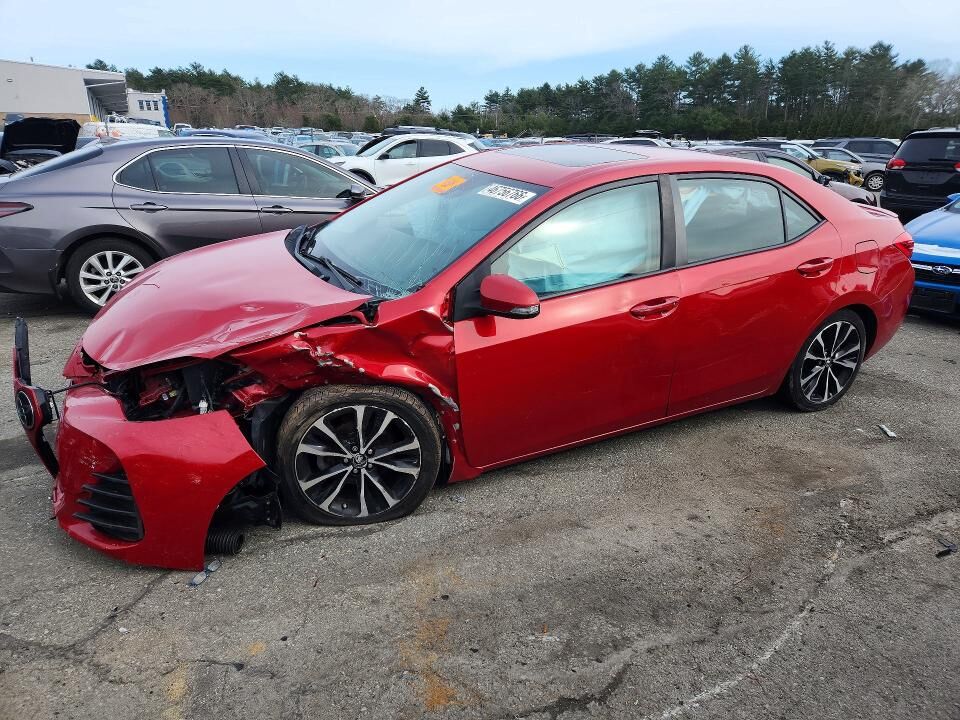 2019 TOYOTA Corolla