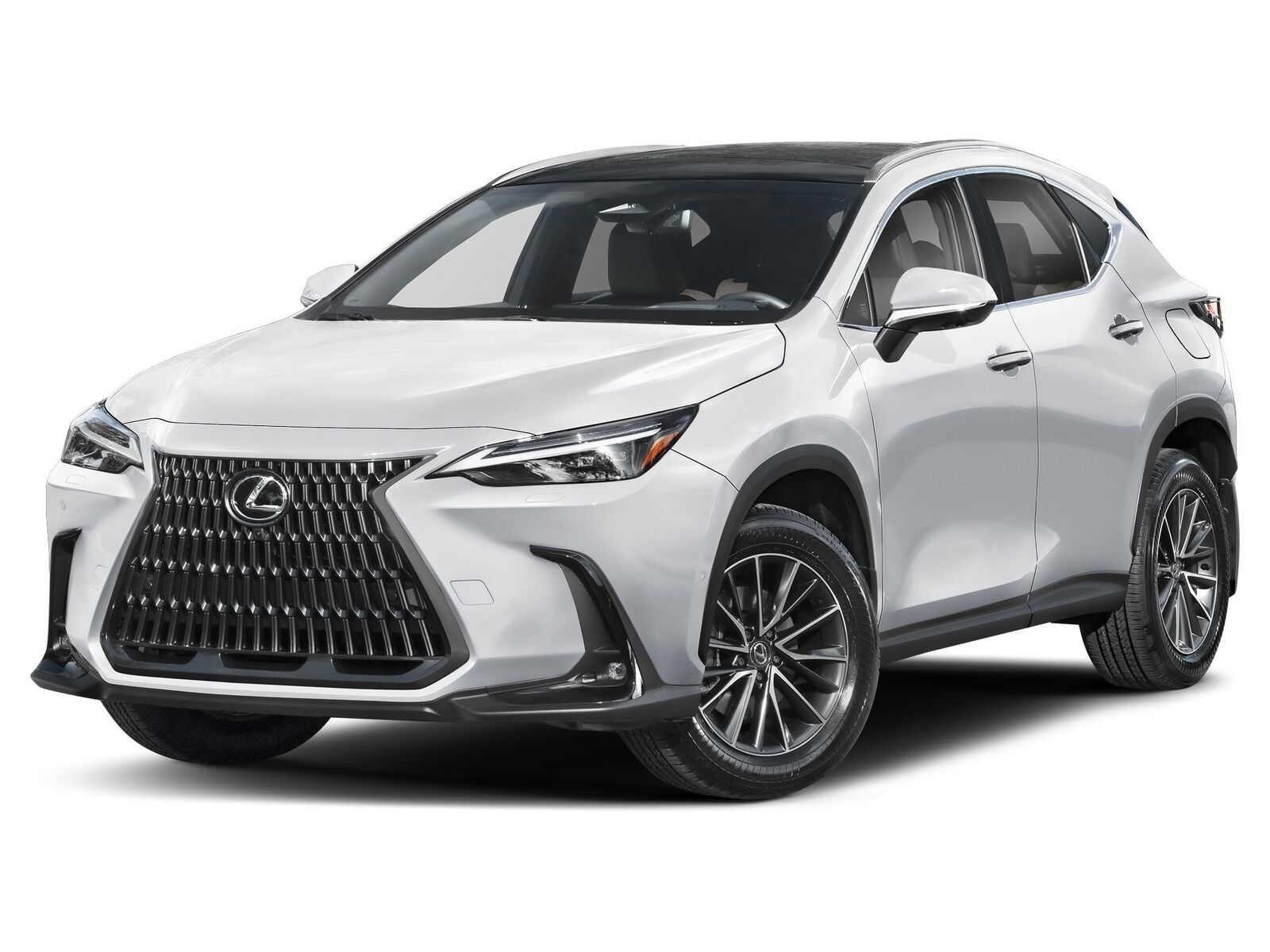 2026 LEXUS NX