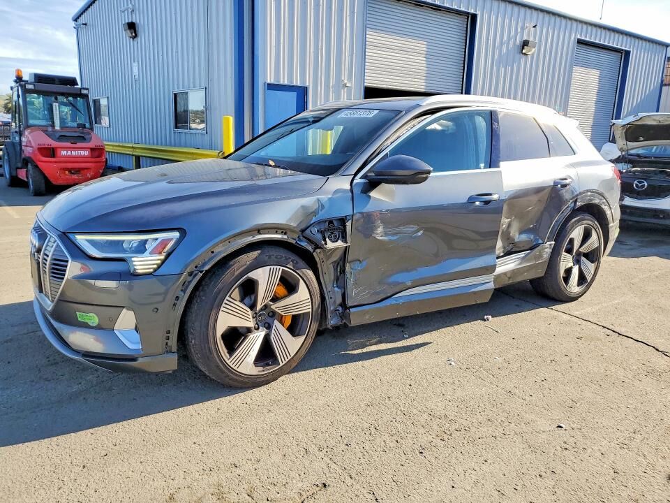 2019 AUDI e-tron