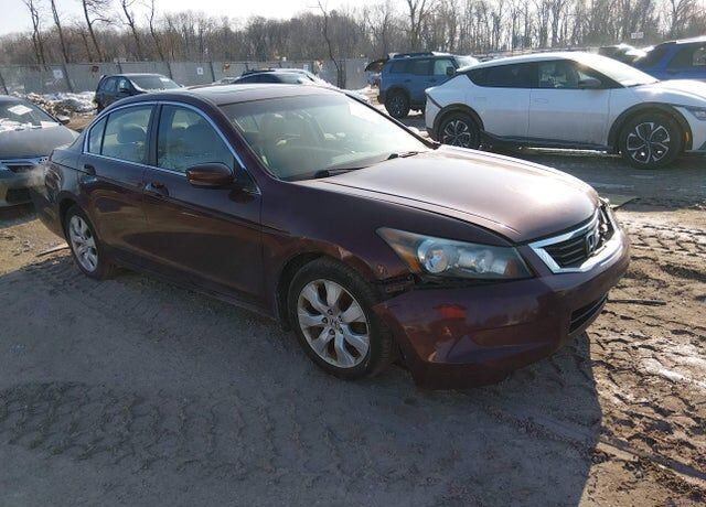 2010 HONDA Accord