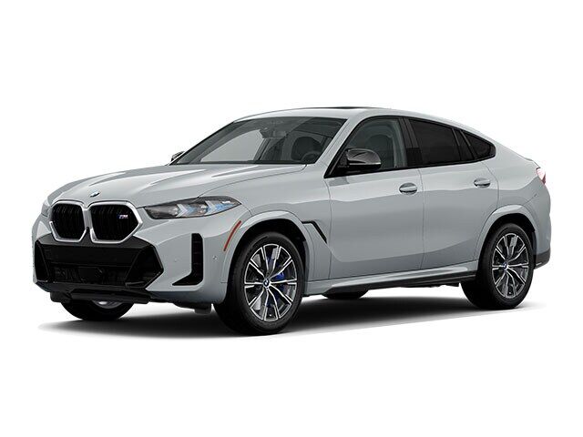 2024 BMW X6