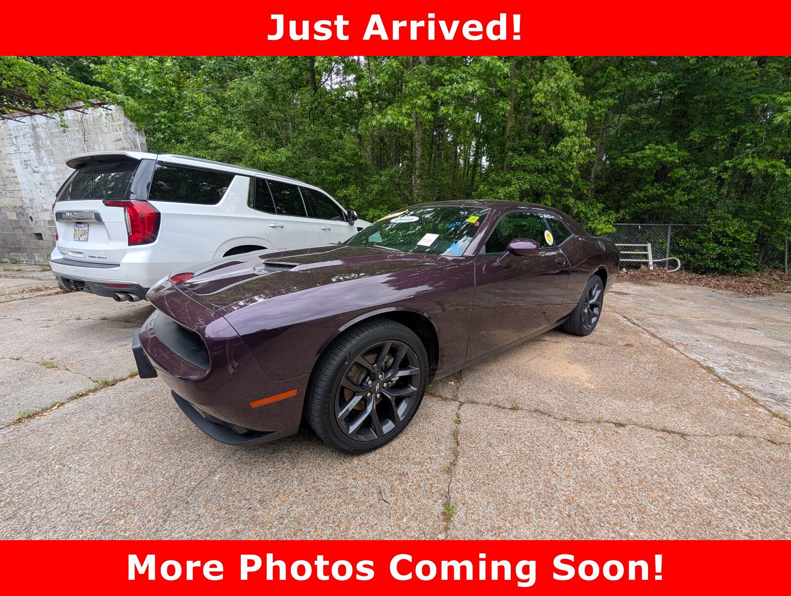 2021 DODGE Challenger