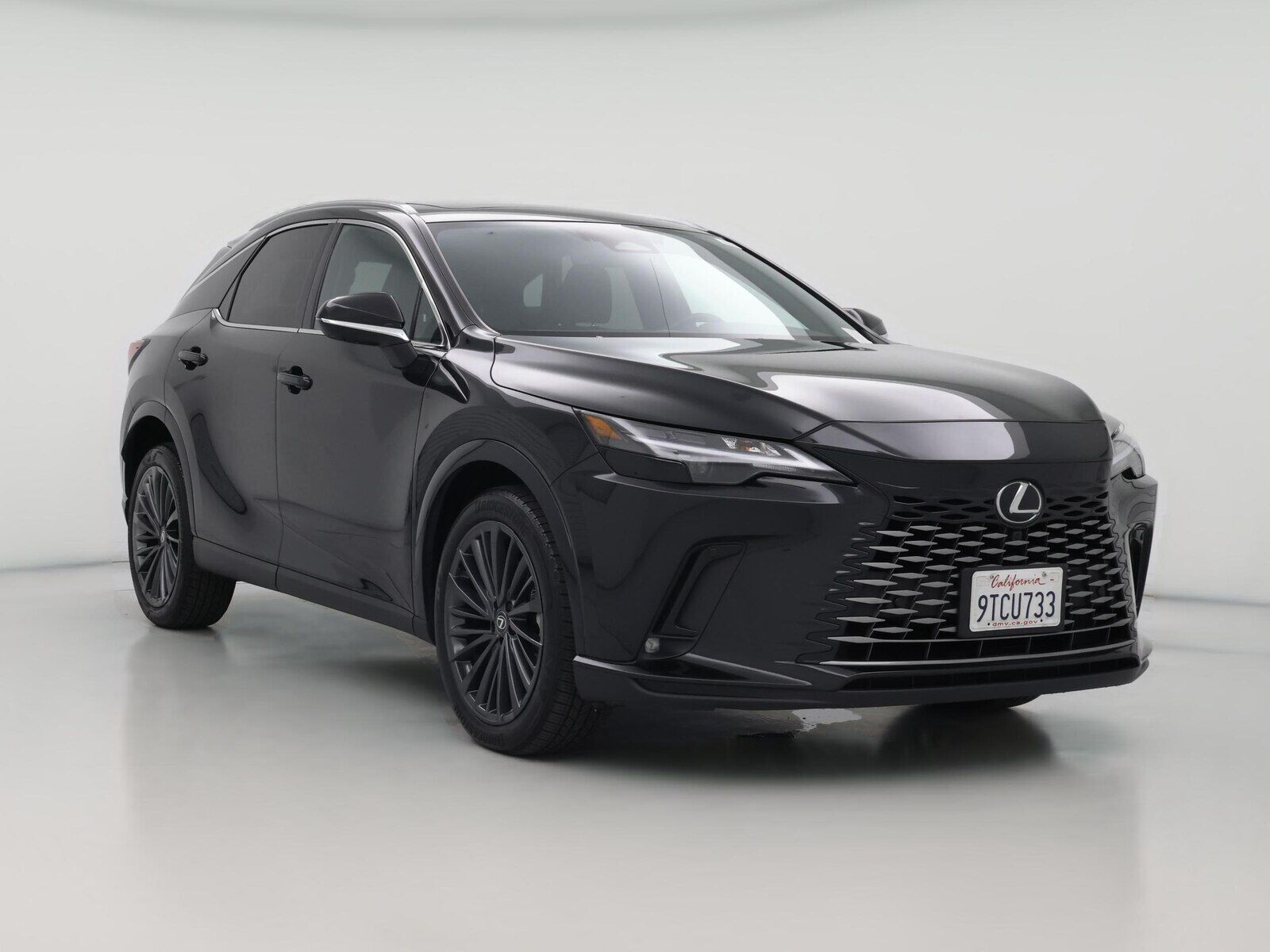2025 LEXUS RX
