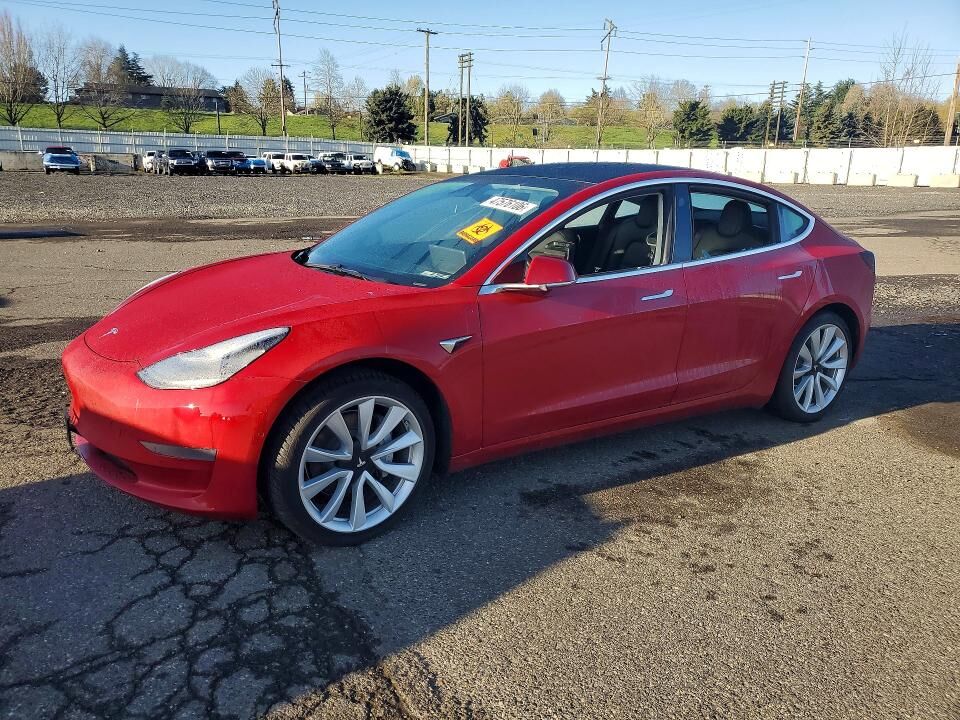 2019 TESLA Model 3