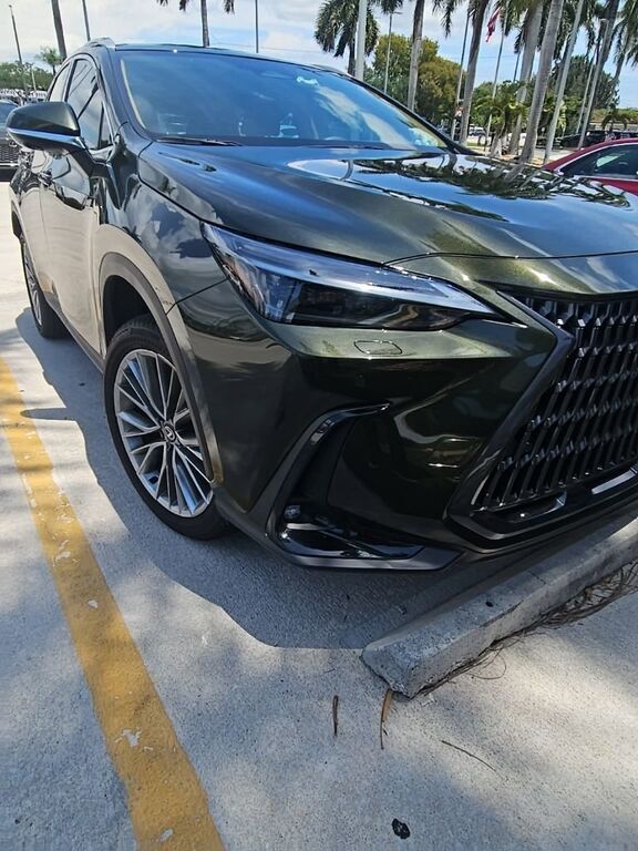 2026 LEXUS NX