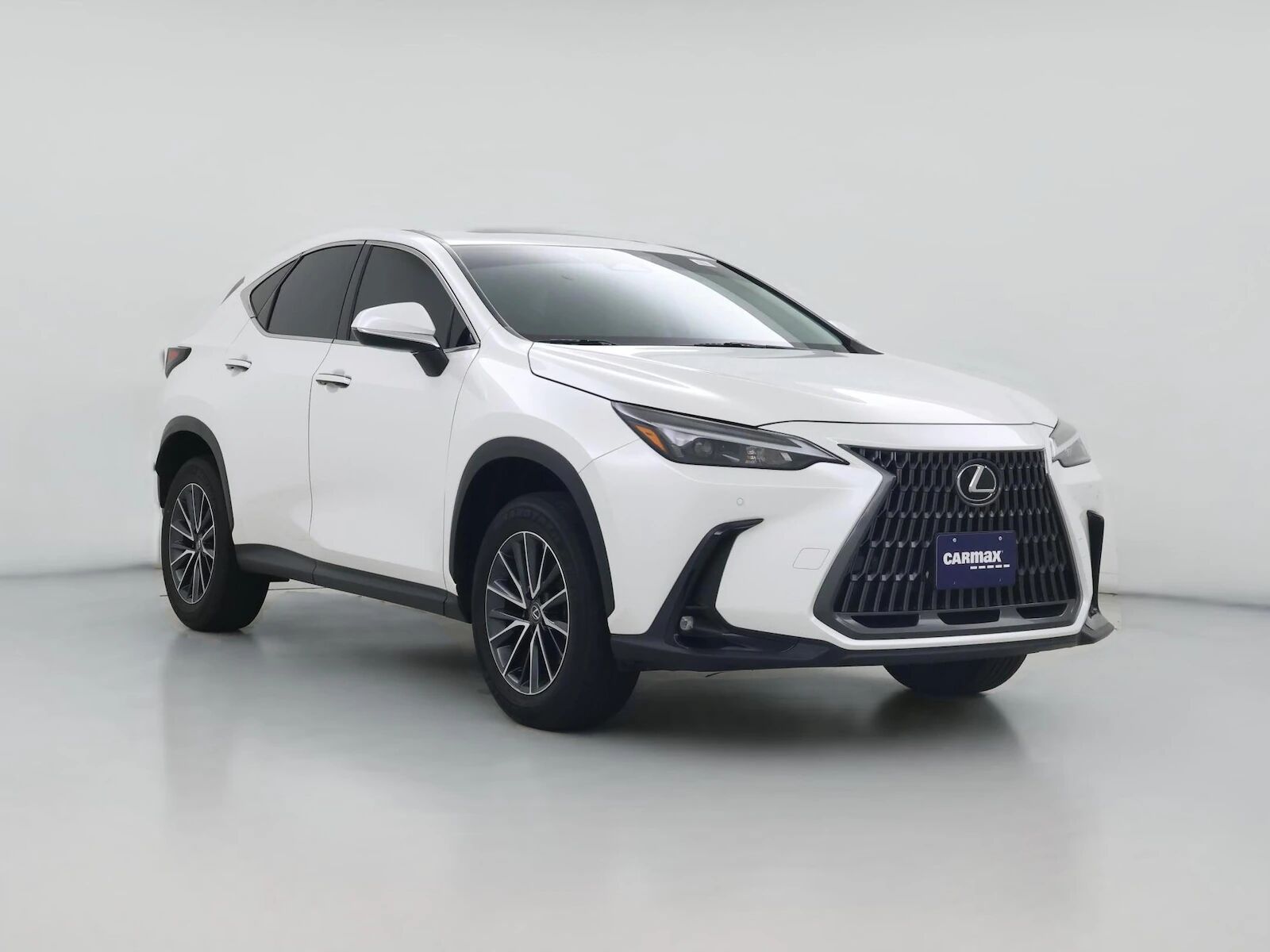 2024 LEXUS NX
