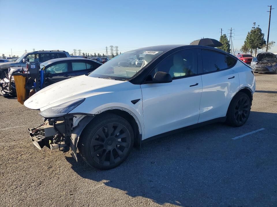 2020 TESLA Model Y