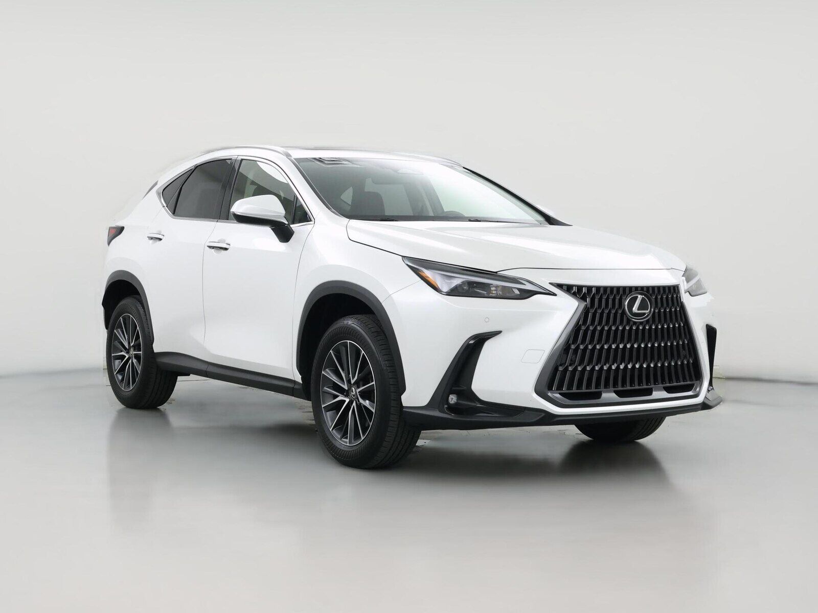 2025 LEXUS NX