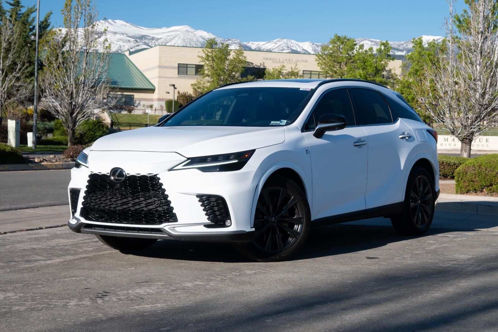 2023 LEXUS RX