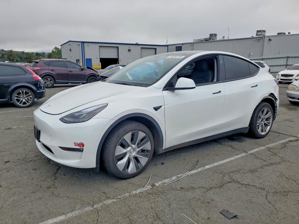 2024 TESLA Model Y