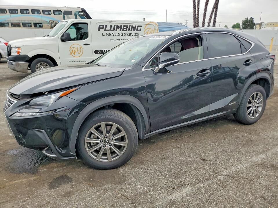 2019 LEXUS NX
