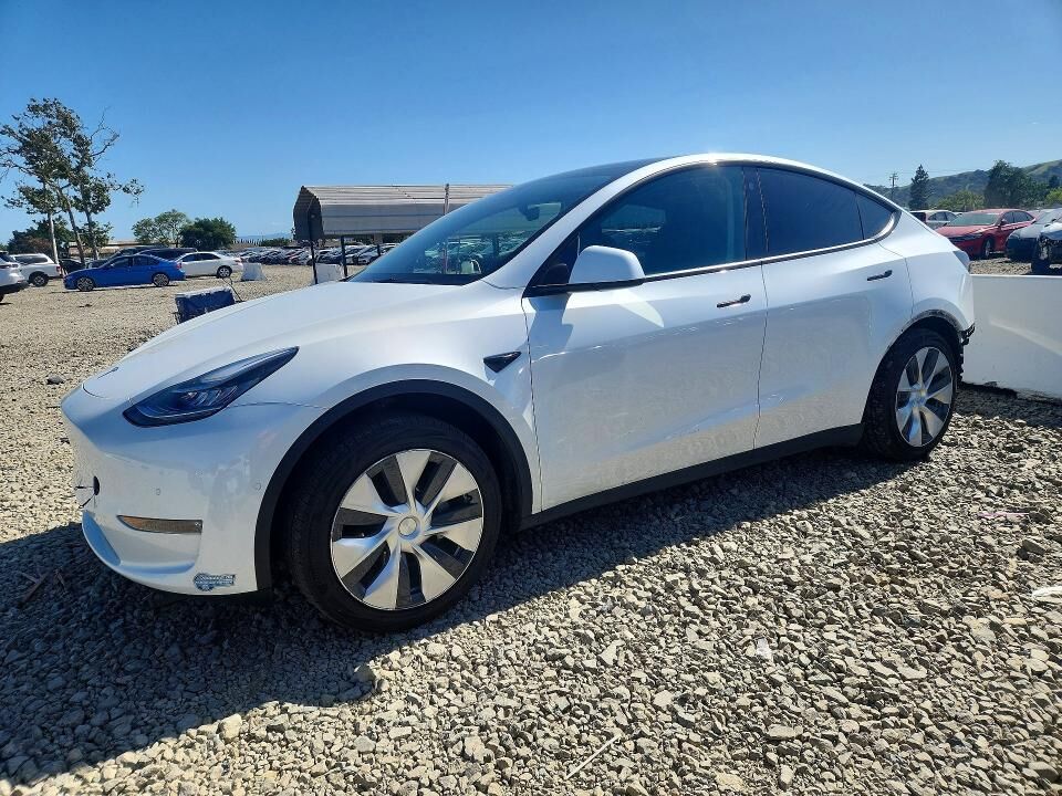 2021 TESLA Model Y