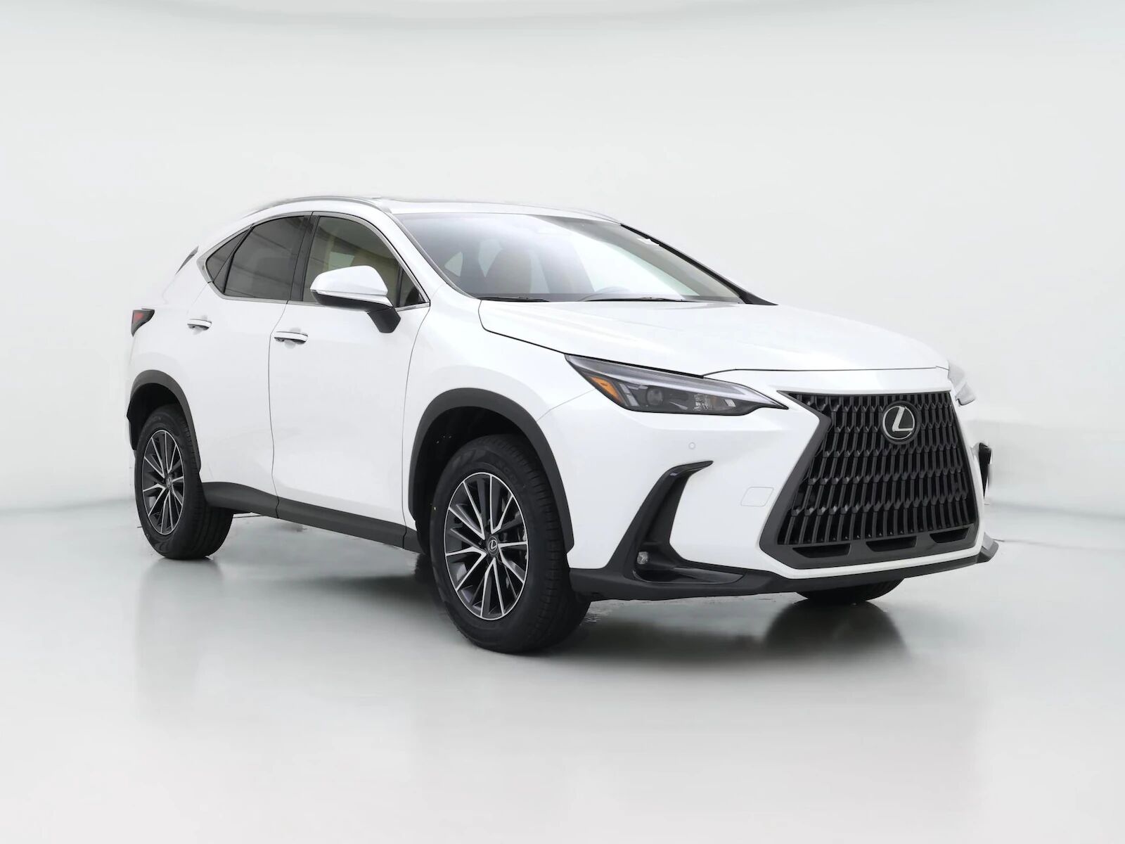 2024 LEXUS NX