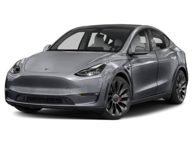2020 TESLA Model Y