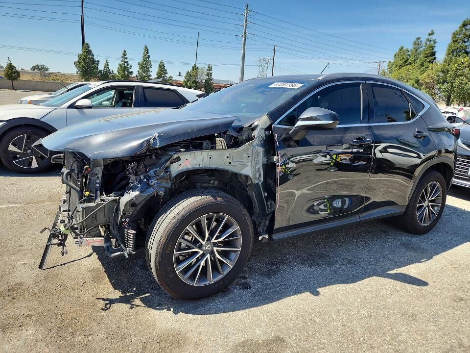 2024 LEXUS NX