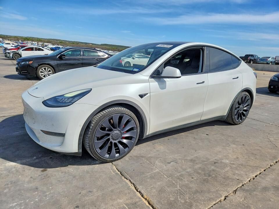 2020 TESLA Model Y