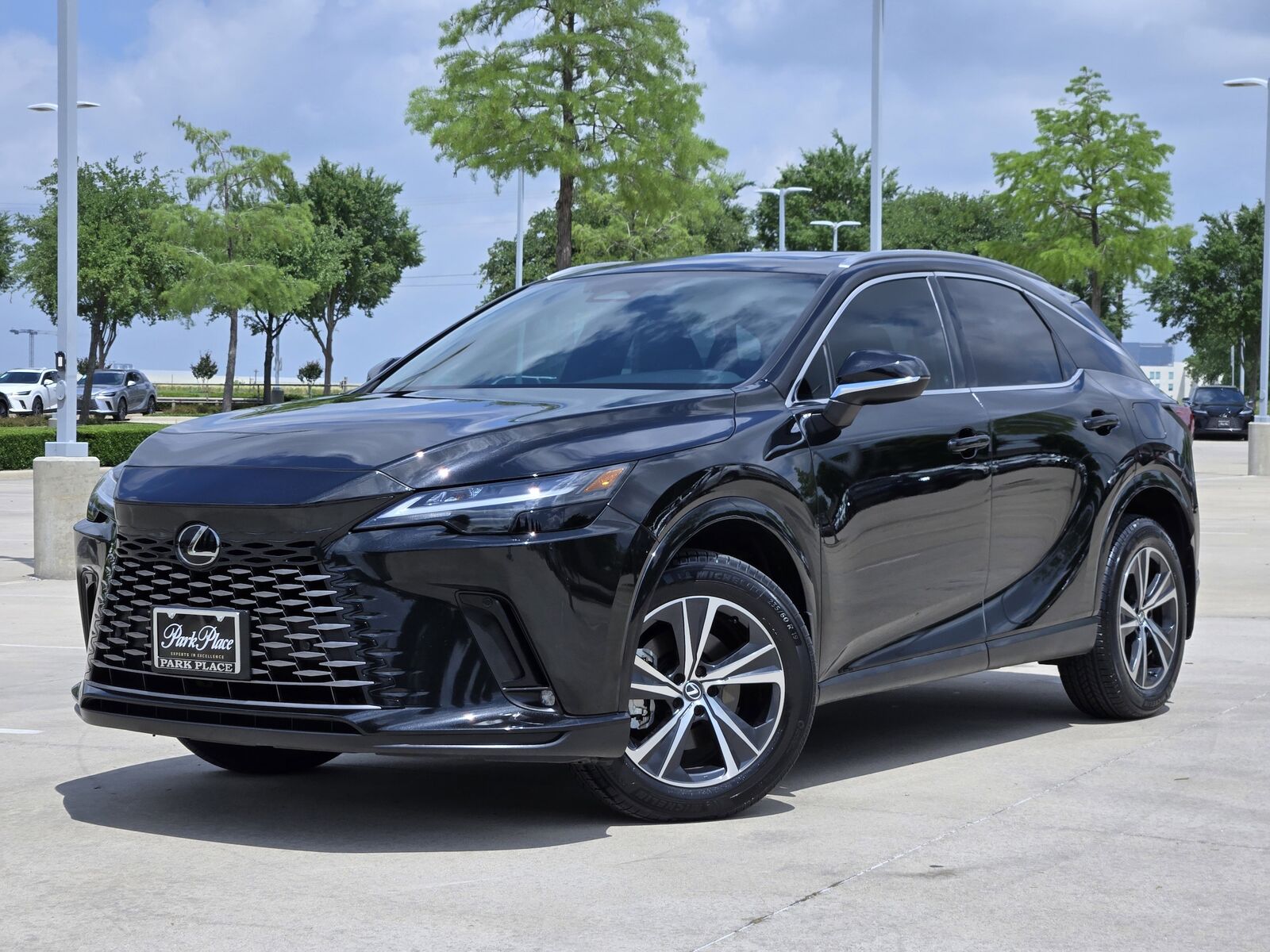 2024 LEXUS RX
