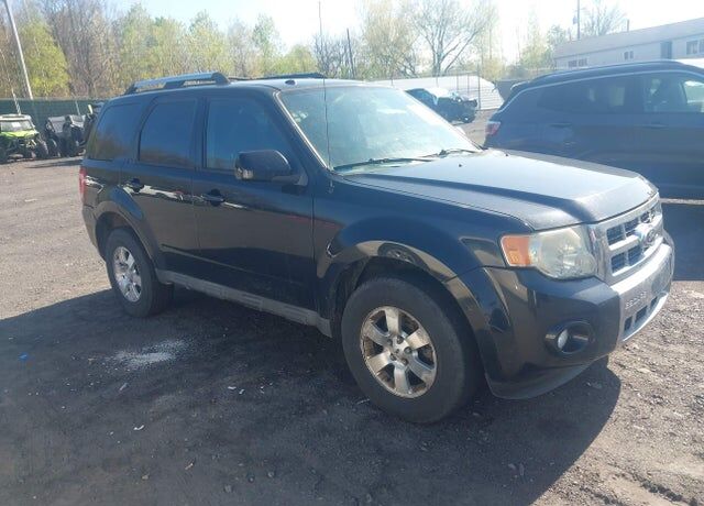 2010 FORD Escape