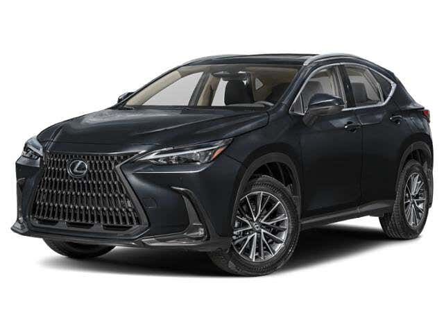 2024 LEXUS NX
