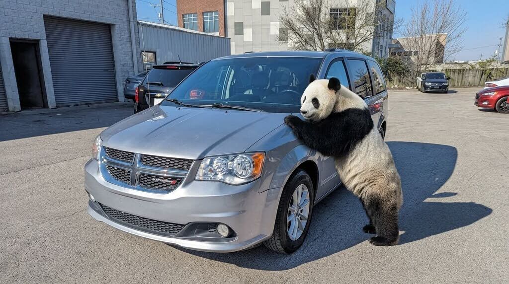 2020 DODGE Grand Caravan