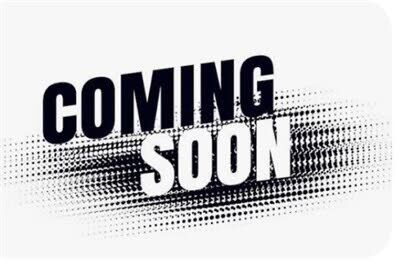 2019 CHEVROLET Silverado HD