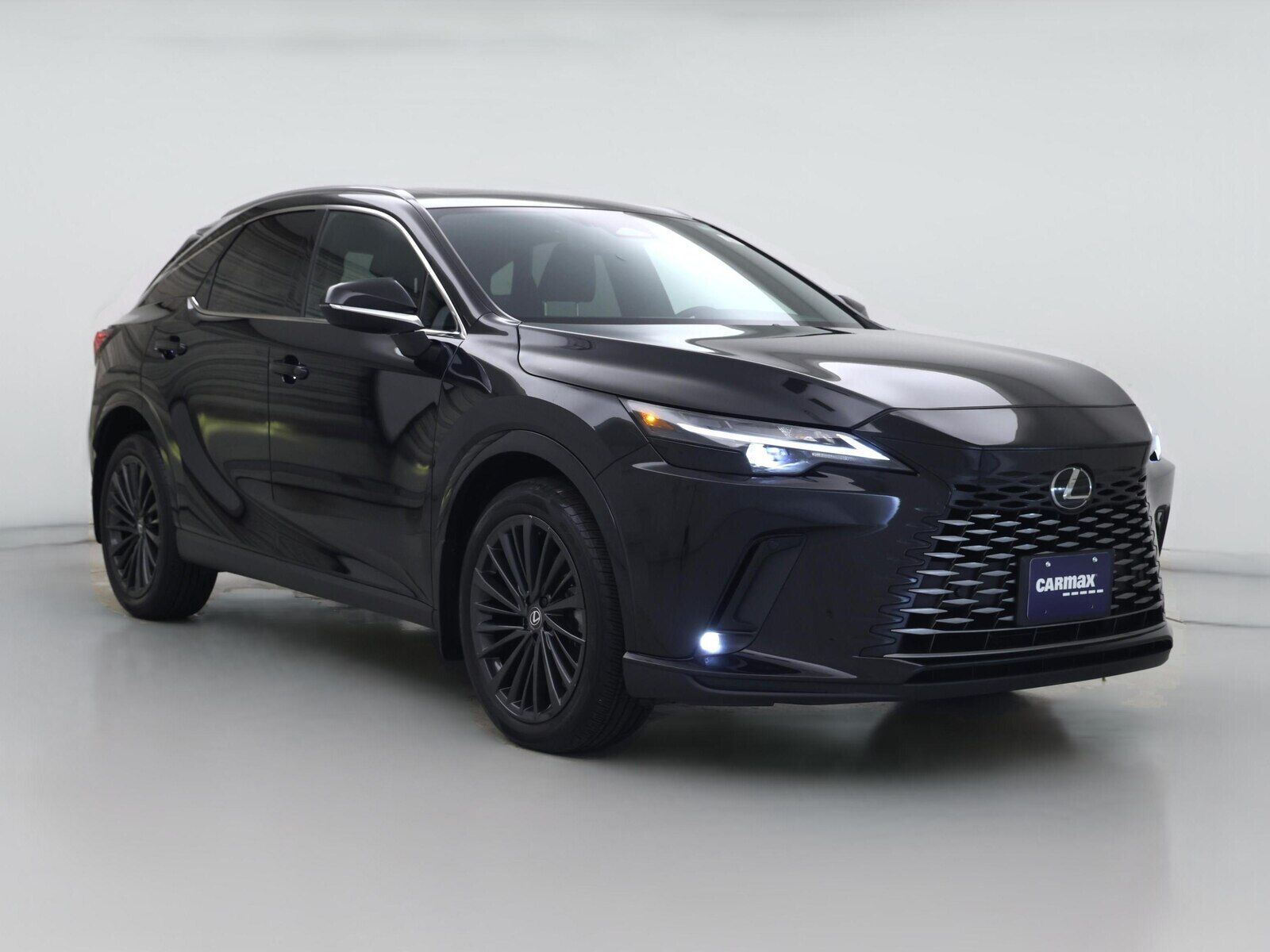 2024 LEXUS RX