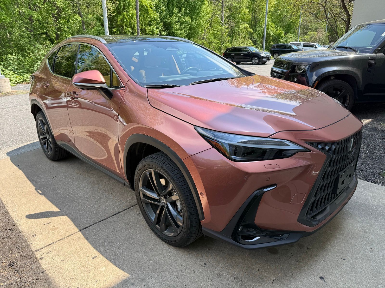 2025 LEXUS NX