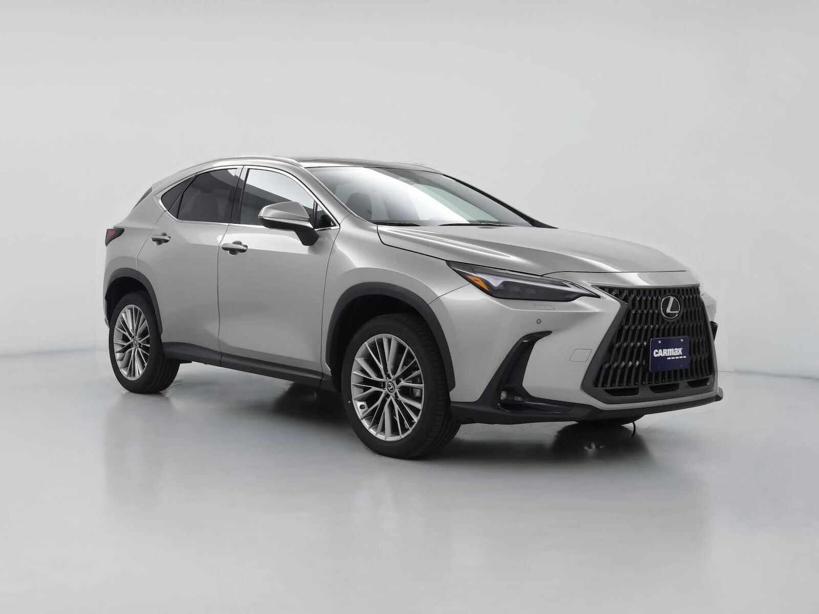 2023 LEXUS NX