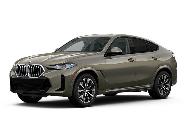 2026 BMW X6