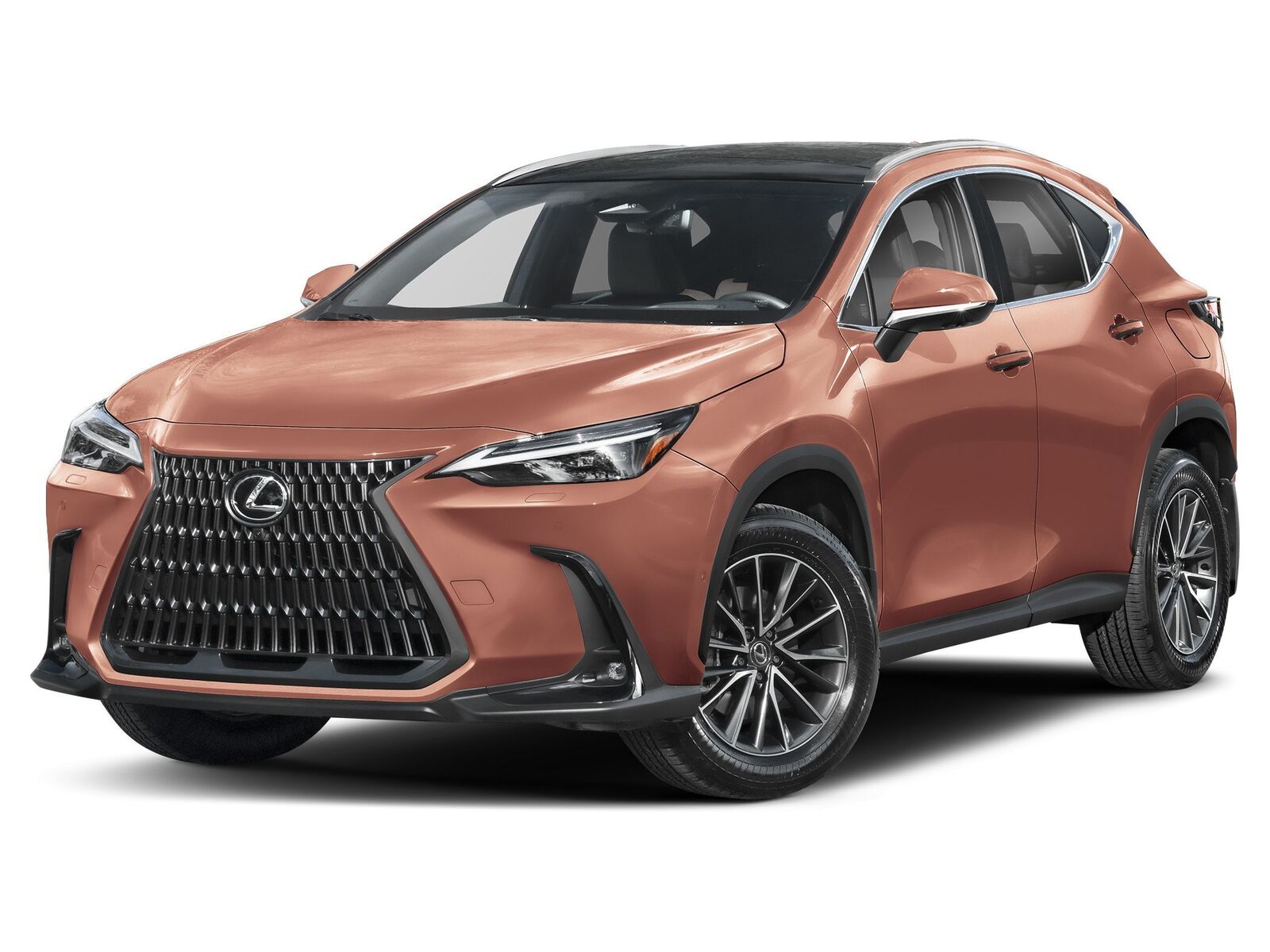 2026 LEXUS NX