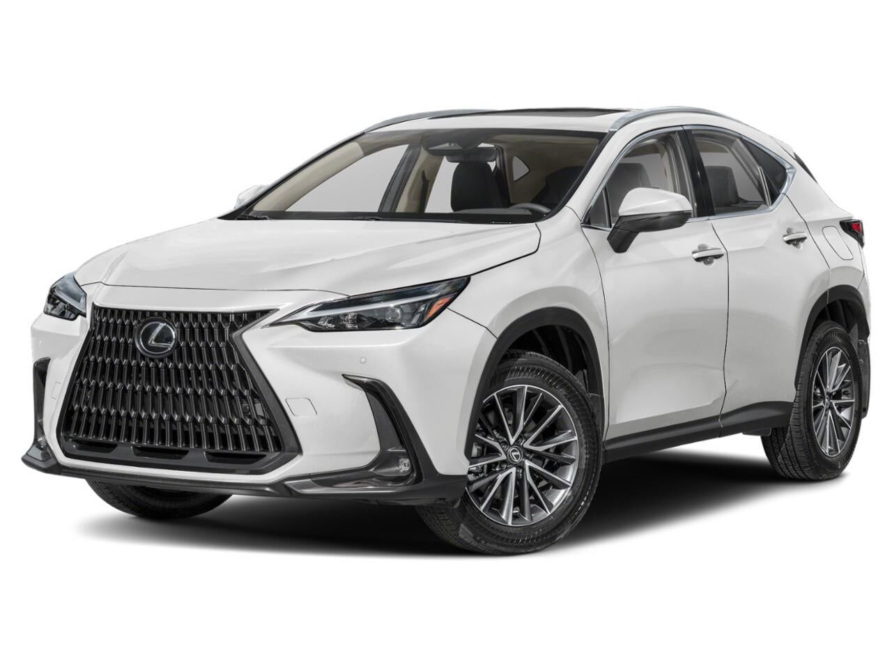 2024 LEXUS NX