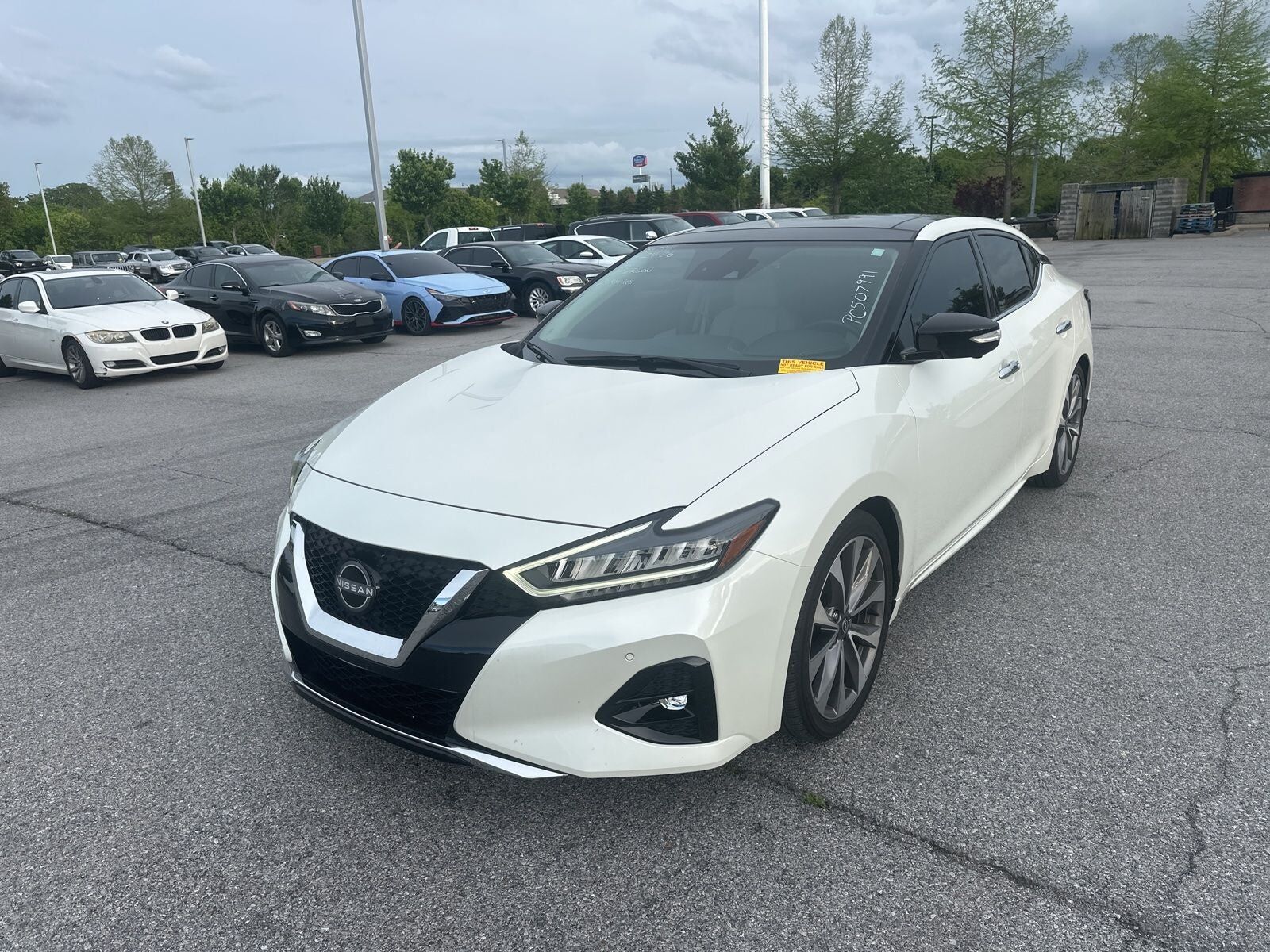 2023 NISSAN Maxima