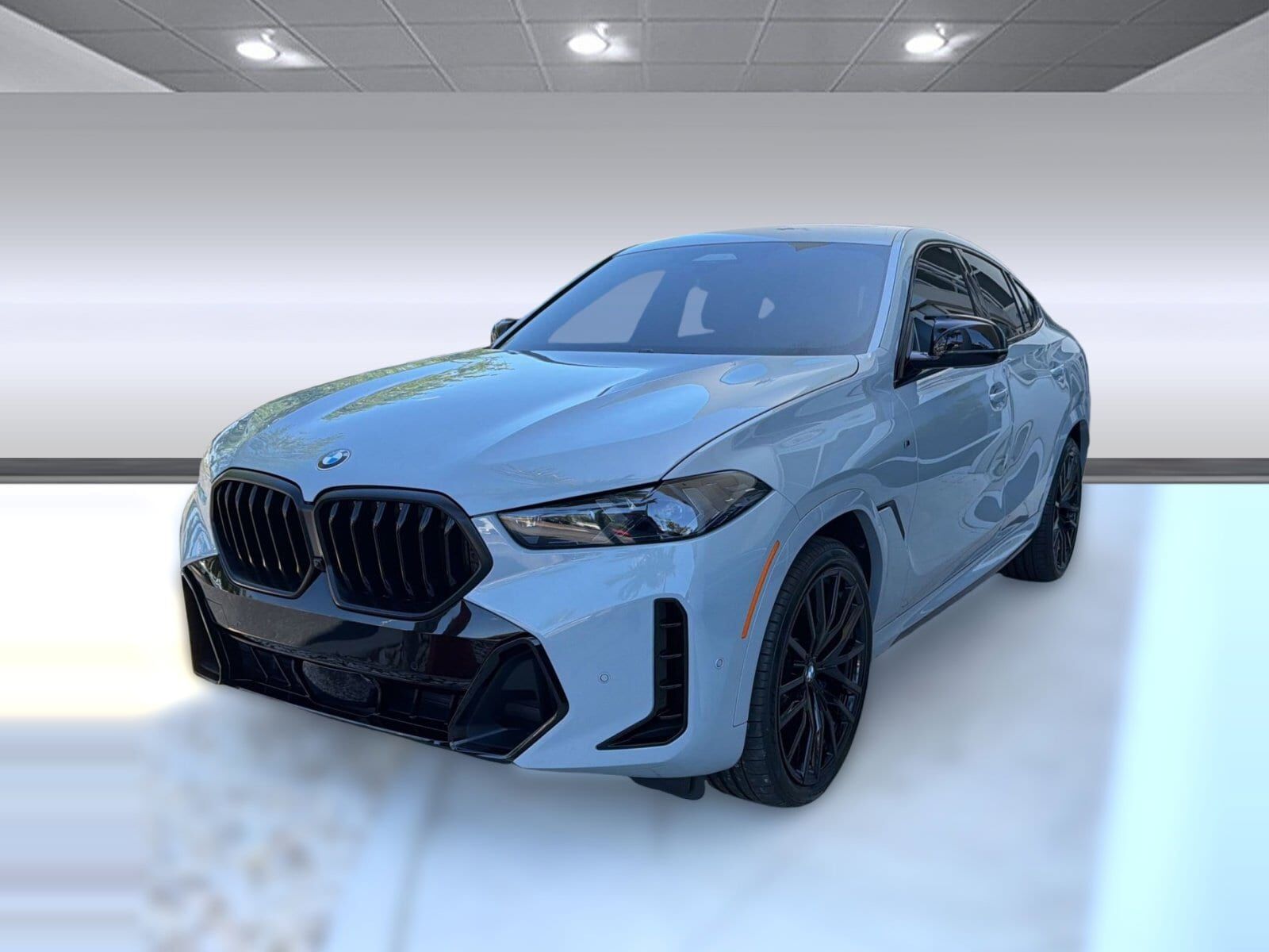 2024 BMW X6