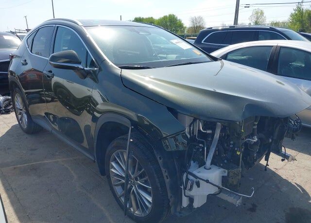 2024 LEXUS NX