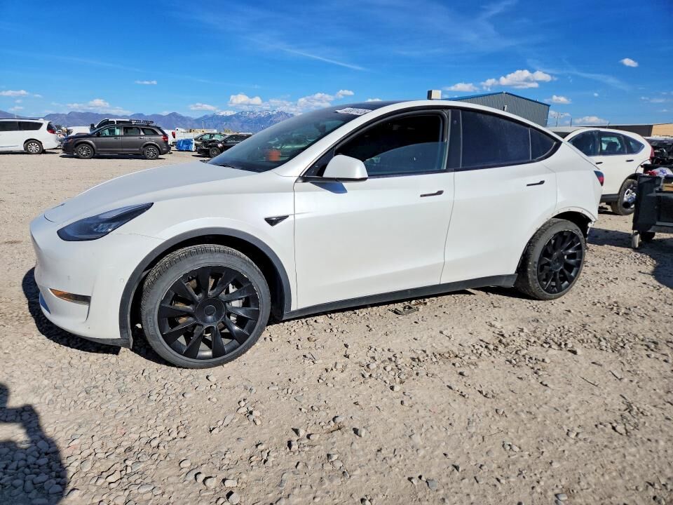 2021 TESLA Model Y