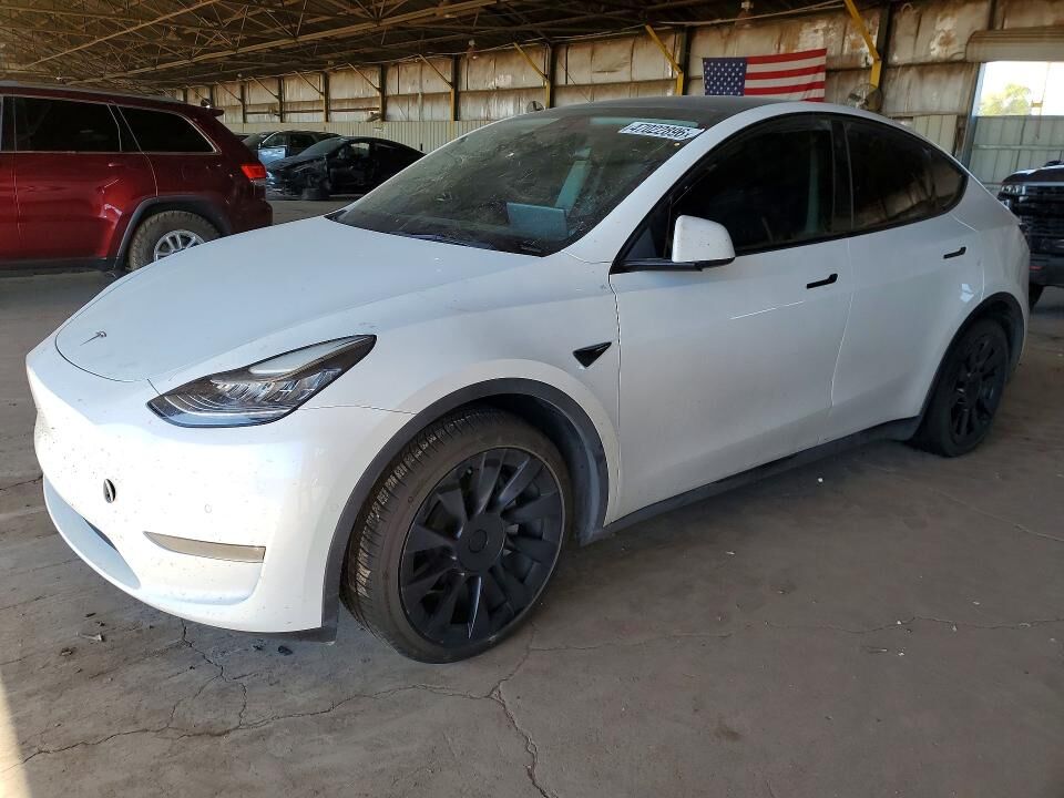 2021 TESLA Model Y