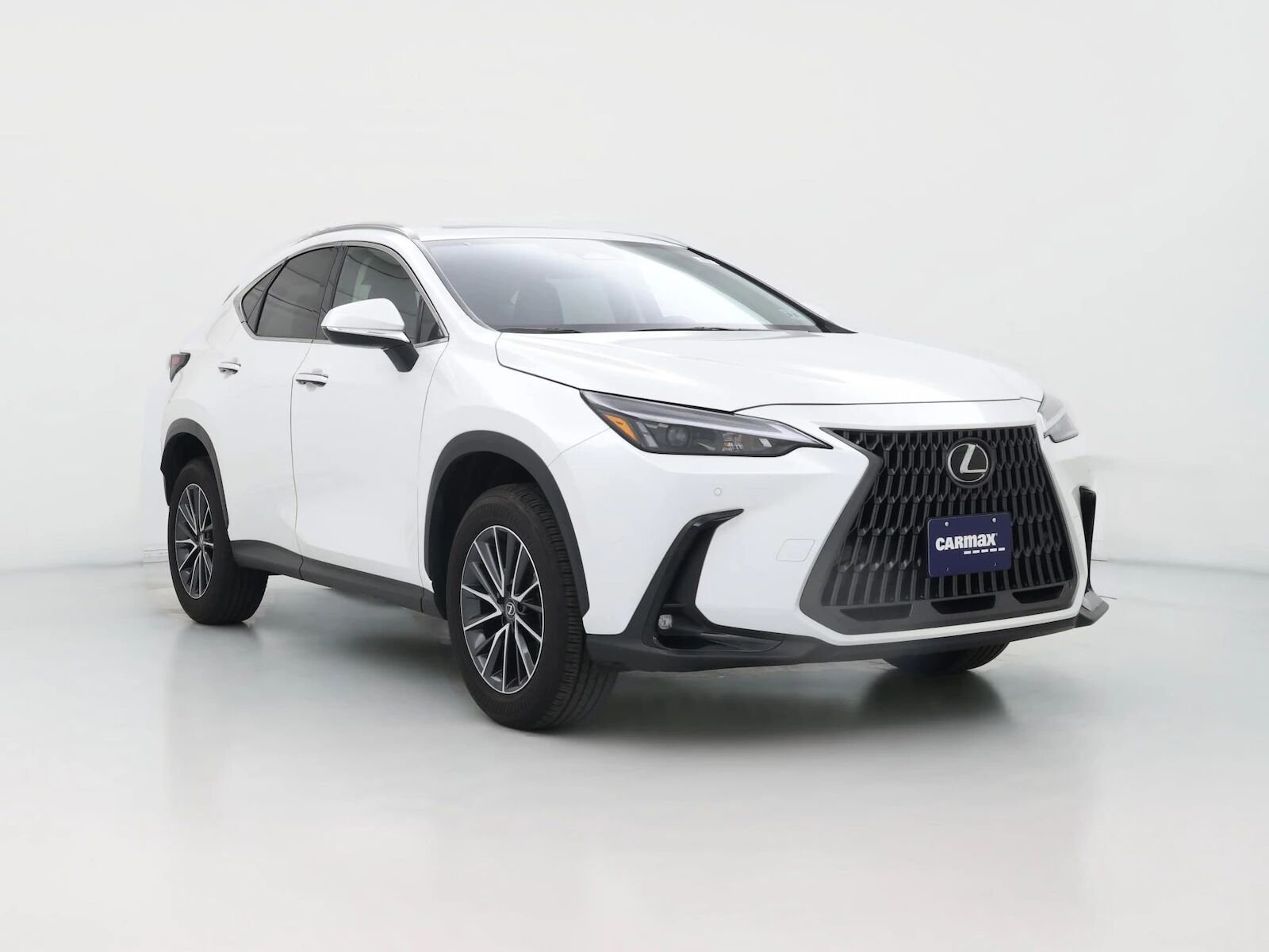 2025 LEXUS NX