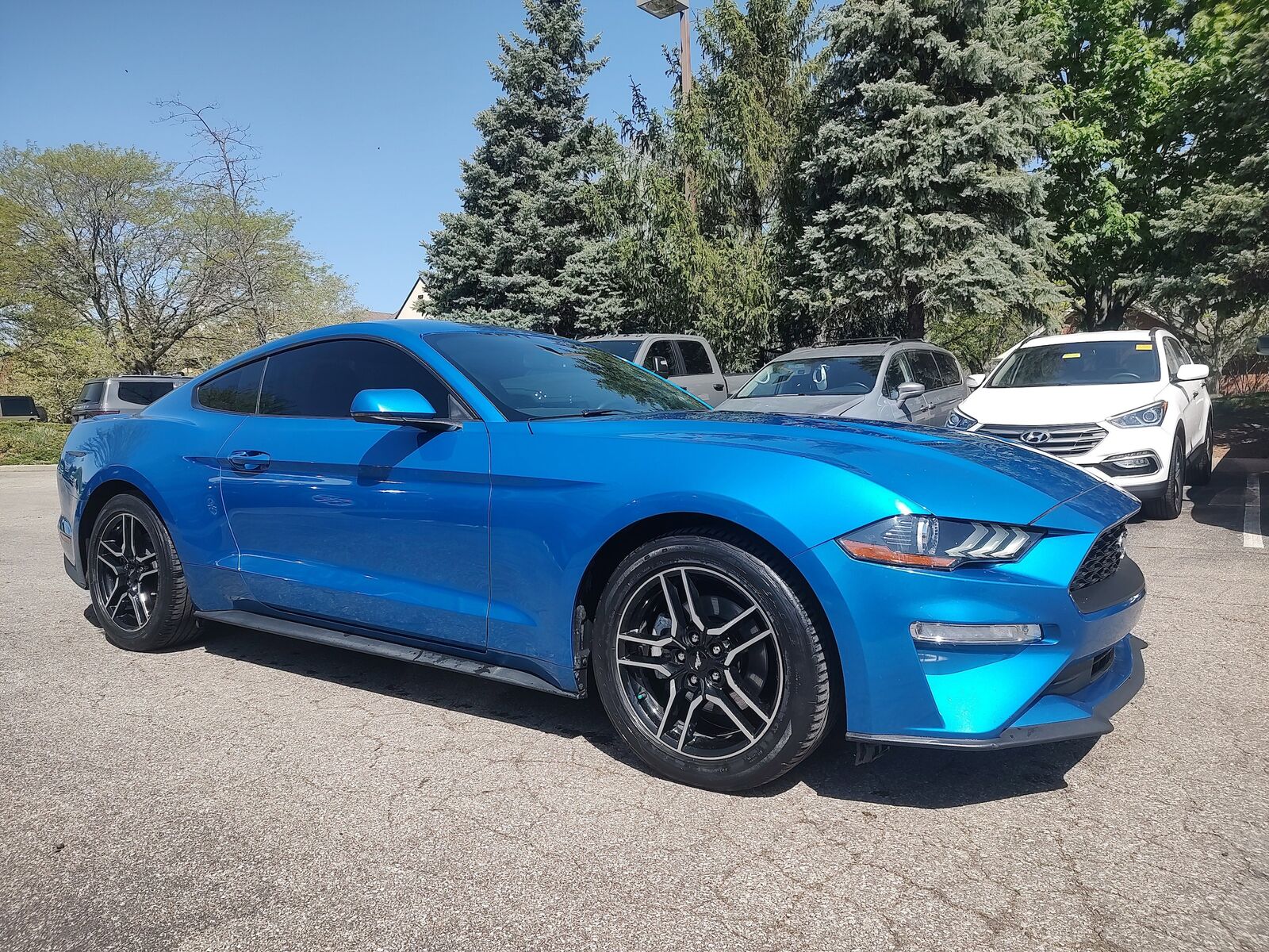 2019 FORD Mustang