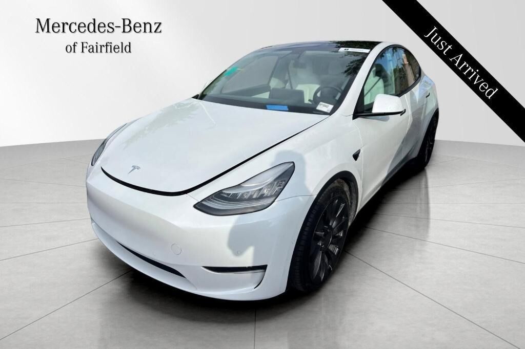 2020 TESLA Model Y