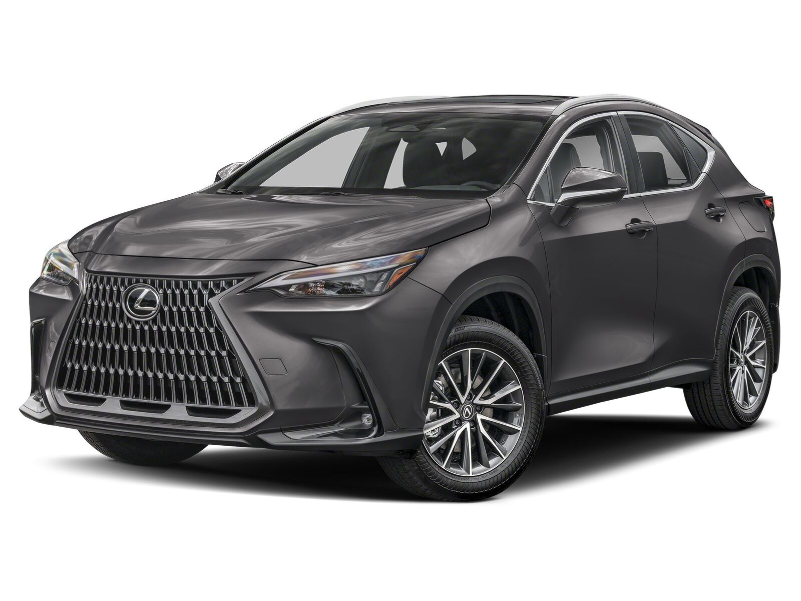 2026 LEXUS NX
