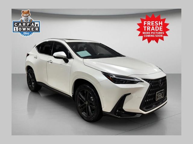 2024 LEXUS NX