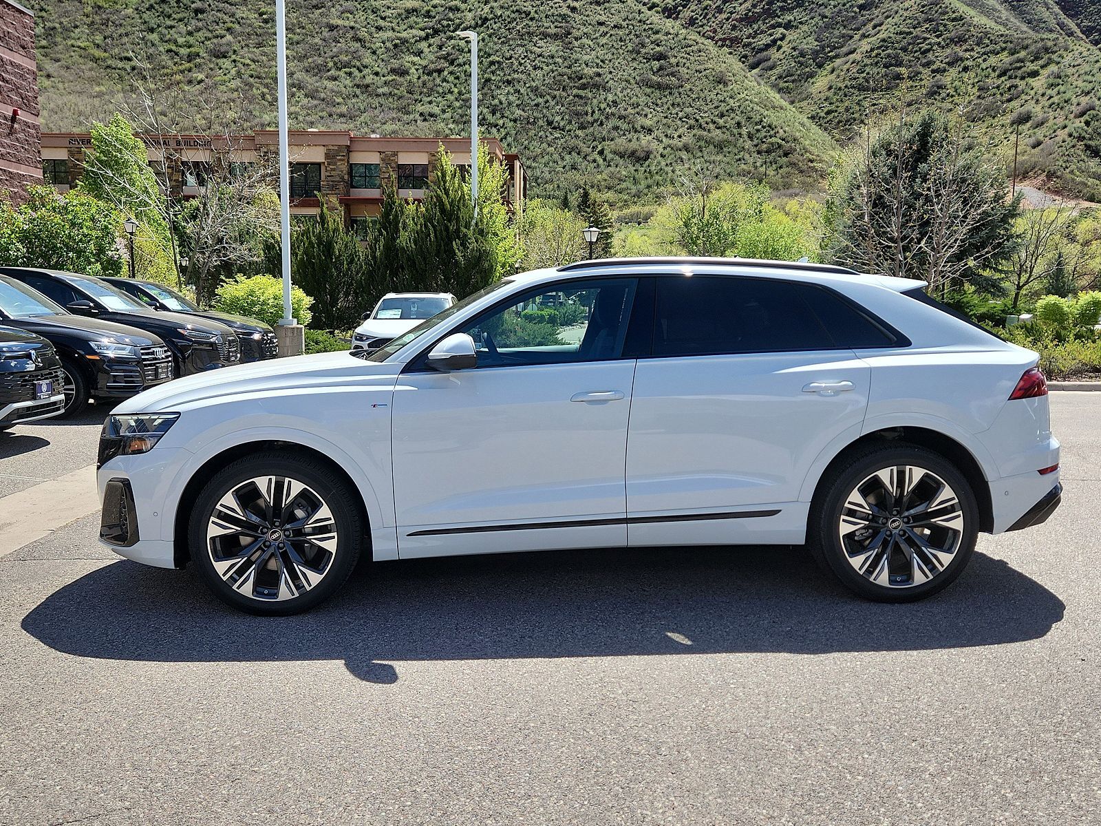2026 Audi Q8