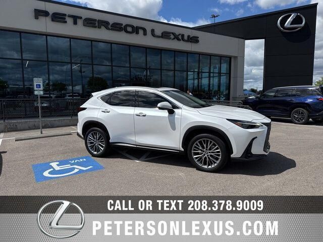 2024 LEXUS NX