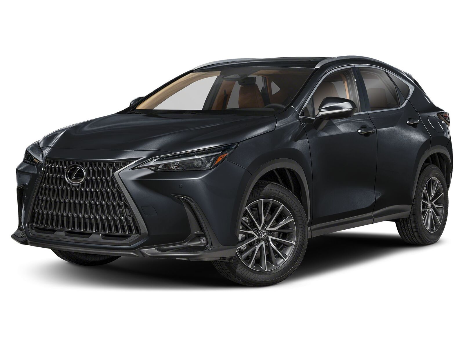 2025 LEXUS NX