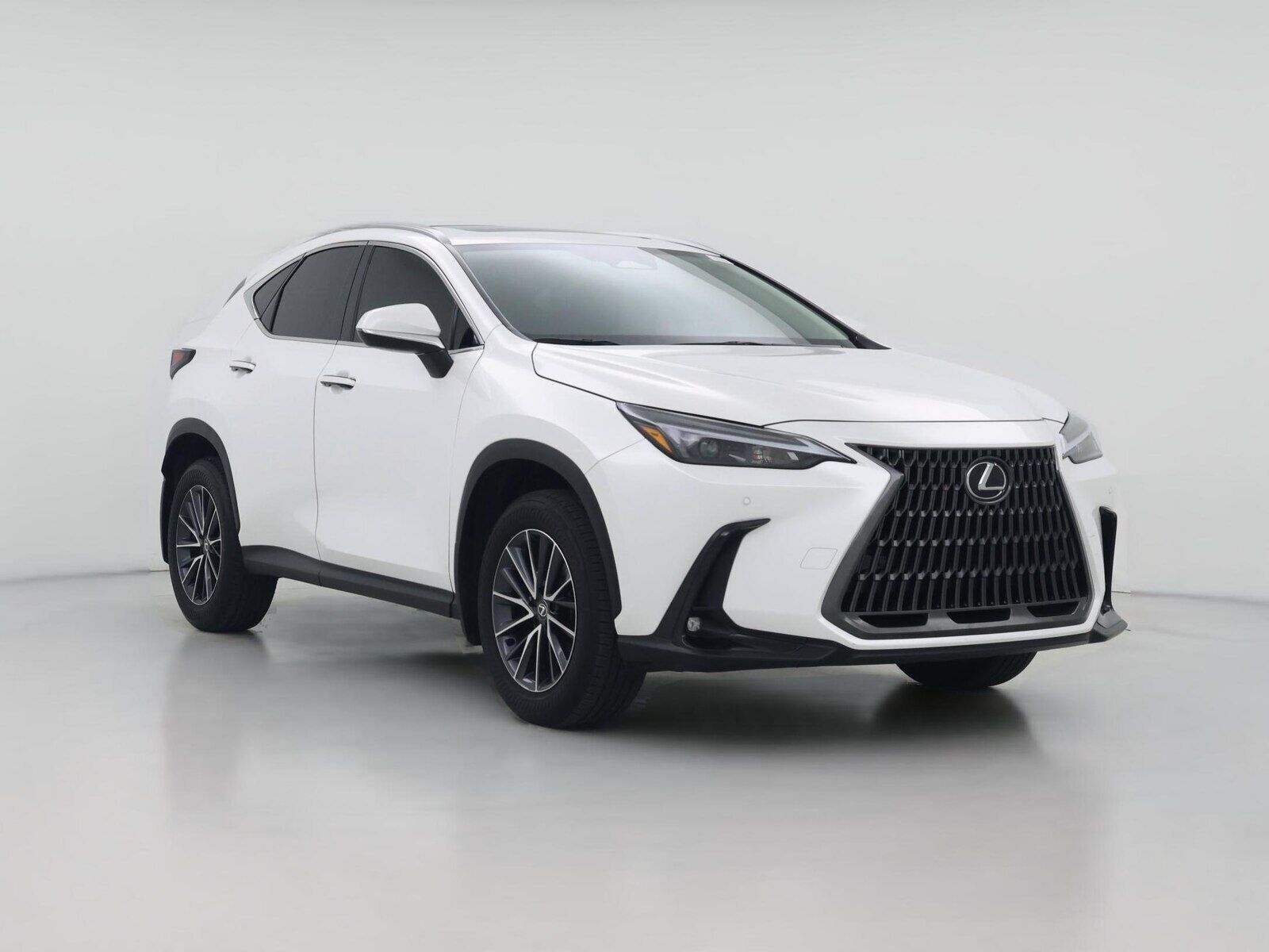 2025 LEXUS NX