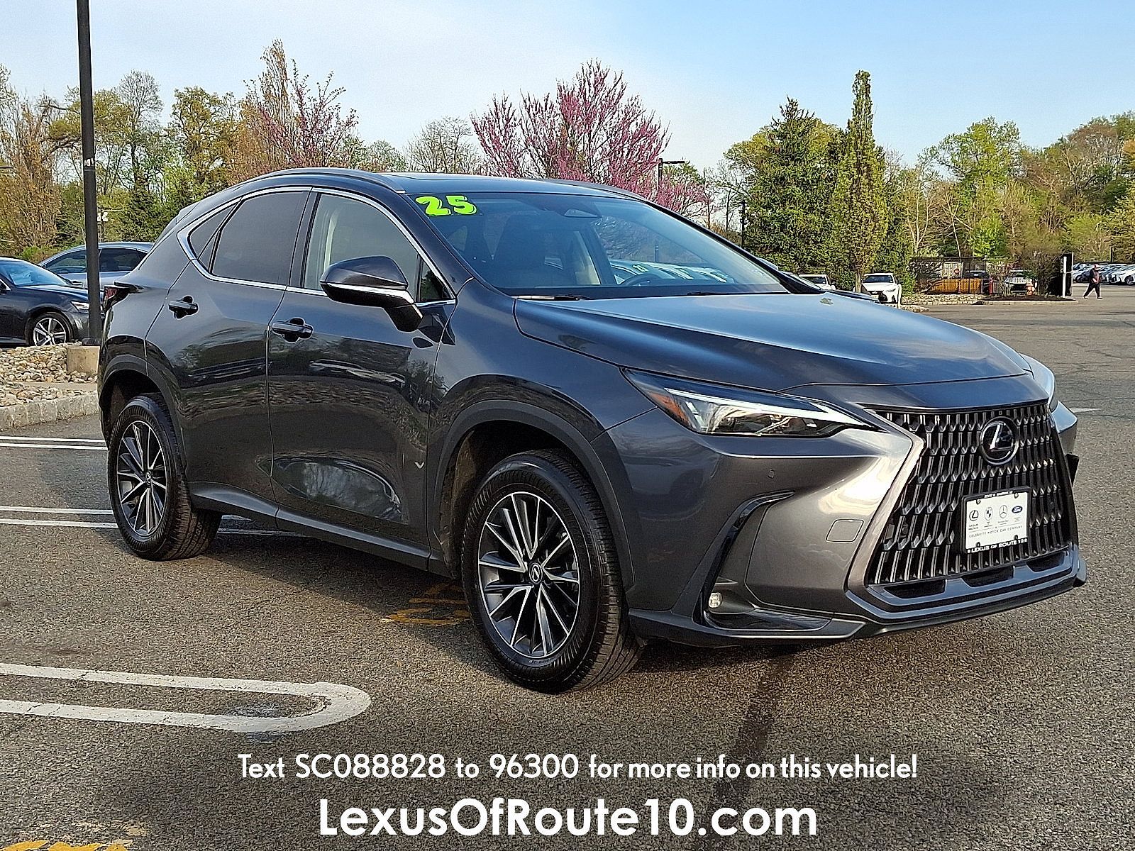 2025 LEXUS NX