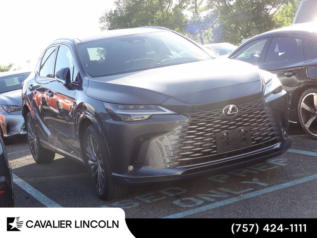 2024 LEXUS RX