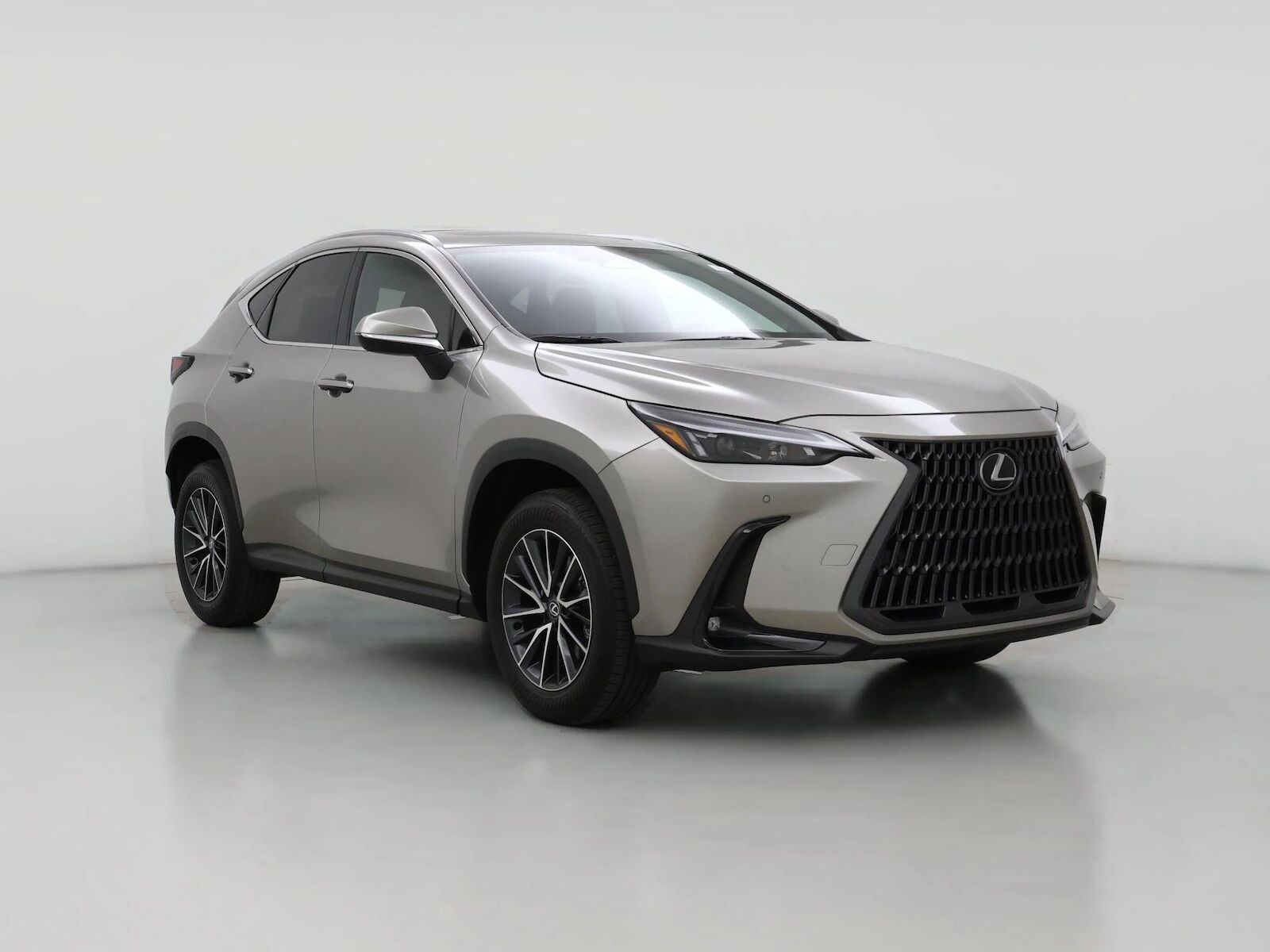 2025 LEXUS NX